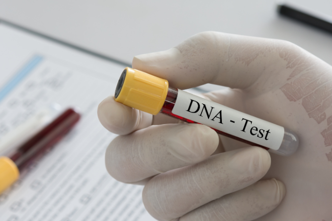Teste-de-paternidadeDNA