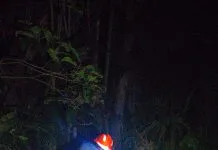 Idoso de 88 anos é resgatado pelos Bombeiros após sofrer AVC em área de difícil acesso em Ubatuba