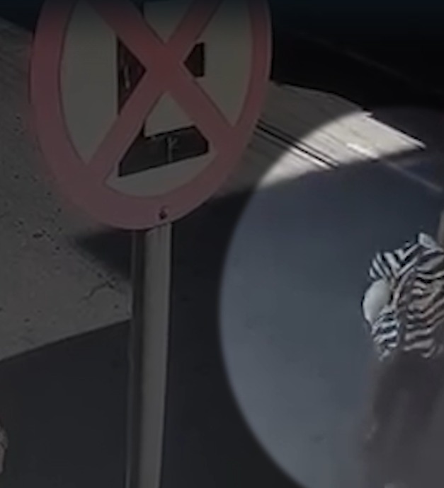 VÍDEO mostra momento em que idosa de 78 anos morre atropelada por ônibus em Guaratinguetá VÍDEO mostra momento em que idosa de 78 anos morre atropelada por ônibus em Guaratinguetá