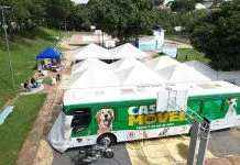 Inscrições para mutirão gratuito de castração e microchipagem de cães e gatos seguem abertas em Campinas