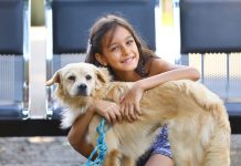 São José realiza primeira feira de adoção itinerante de cães e gatos