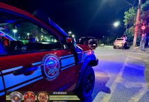 Mulher fica ferida após carro capotar em avenida de São José