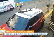 Pitbull escapa, corre para atacar criança que é salva por cachorro por família, em São José
