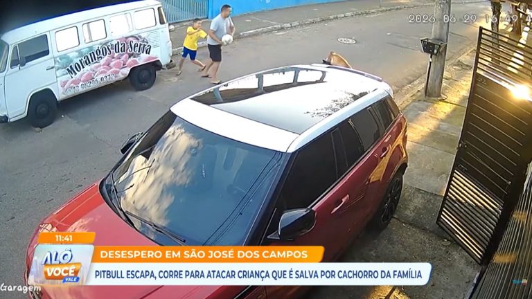 Pitbull escapa, corre para atacar criança que é salva por cachorro por família, em São José