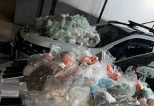 Polícia Militar apreende mais de 57 kg de drogas em casa e prende mulher em São José dos Campos