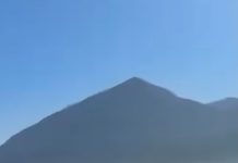 VÍDEO: Turista do Rio registra salto de tubarão durante passeio para observar baleias em Ilhabela