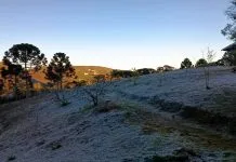 Geada cobre Campos do Jordão e cidade registra a menor temperatura do ano; veja FOTOS