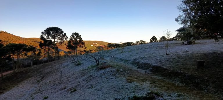 Geada cobre Campos do Jordão e cidade registra a menor temperatura do ano; veja FOTOS