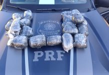 PRF apreende mais de 20 kg de haxixe escondidos em portas de carro na Dutra, em Lavrinhas