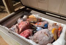 PM apreende 800 kg de carne imprópria para consumo e prende homem em açougue clandestino, em Jacareí