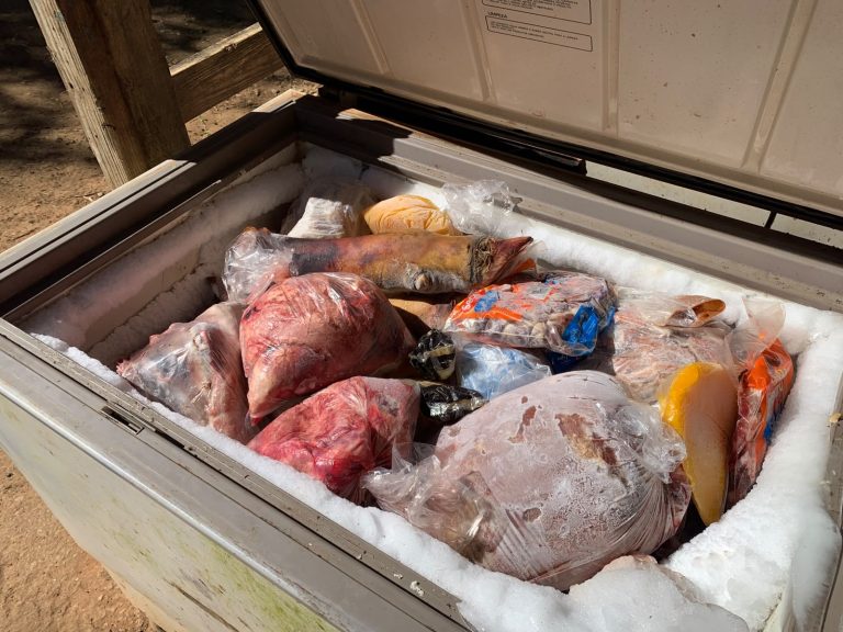 PM apreende 800 kg de carne imprópria para consumo e prende homem em açougue clandestino, em Jacareí