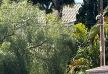 Homem é encontrado morto dentro de piscina após confraternização familiar em São José dos Campos