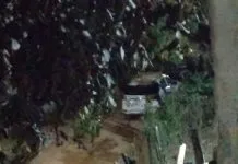 Mulher é encontrada morta com corpo parcialmente carbonizado em trilha de Igaratá