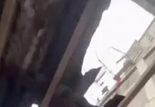 Idosa fica ferida dentro de casa após ser atingida por objetos de construção civil