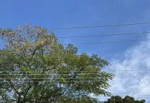 Funcionários acusam GCM de agressões durante protesto na Urbam em São José dos Campos