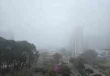 Semana começa com frio e nevoeiro, mas calor e tempo seco devem predominar na região