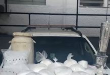 PM apreende mais de 20 kg de cocaína e material para o tráfico na zona sul de São José