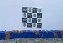 Cerca de 600 kg de maconha são apreendidos em caminhão que carregava móveis, em Caçapava