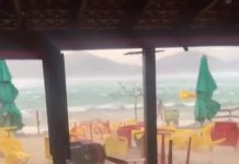 Ventania derruba árvores, atinge veículo e interdita vias em Ubatuba