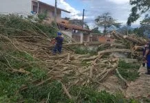 Ventania danifica 12 escolas e suspende aulas em unidade de Caraguatatuba