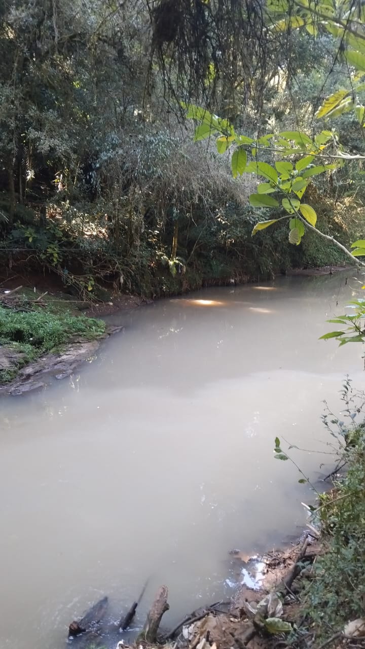 Mortes de trutas no Rio Sapucaí-Guaçu é investigada em Campos do Jordão