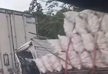 Motorista morre em colisão envolvendo três caminhões na BR-101, em Santa Rita
