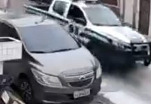 Viatura da GCM Ambiental de Praia Grande é flagrada atropelando cão; VÍDEO