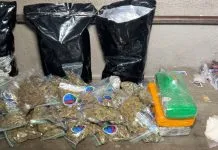 PM apreende drogas avaliadas em R$ 1 milhão durante ação em Mangabeira, em João Pessoa