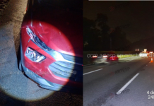 Idosa morre após ser atropelada por veículo em rodovia de São Vicente; VÍDEO