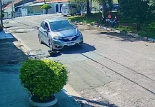 Motorista por aplicativo atropela cachorra e foge sem prestar socorro em Valinhos