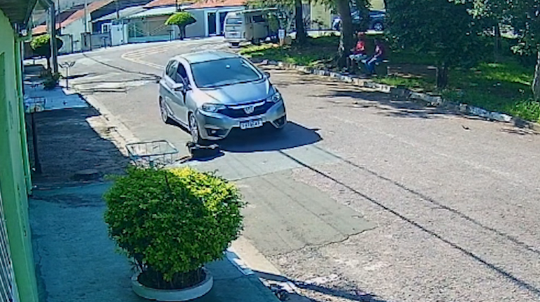 Motorista por aplicativo atropela cachorra e foge sem prestar socorro em Valinhos
