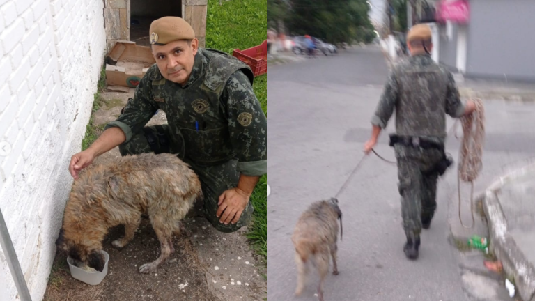Cachorro é resgatado após passar horas dentro de canal em Guarujá