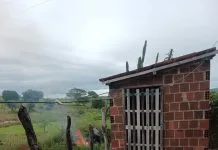Homem é preso suspeito de agredir cachorro e jogá-lo em fogueira na zona rural de Queimadas