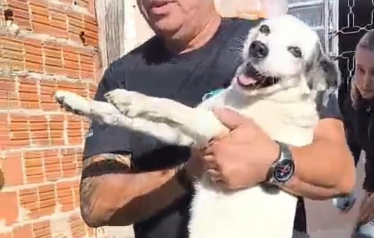Homem é preso por suspeita de zoofilia e maus-tratos a cadela em Araçatuba