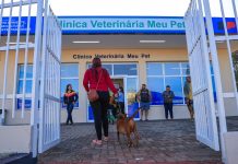 Clínica Veterinária Meu Pet supera 5,5 mil procedimentos no primeiro mês de funcionamento