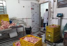 Fábrica clandestina tinha urubus, ratos e 2,7 toneladas de carne sem procedência