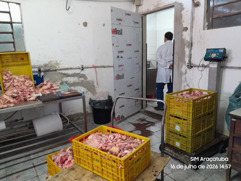 Fábrica clandestina tinha urubus, ratos e 2,7 toneladas de carne sem procedência