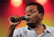 Como Almir Guineto mudou a linguagem do samba para sempre
