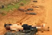 Homem de 43 anos é encontrado morto em estrada de terra em Birigui