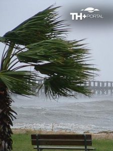 WEBSTORY PORTAL THMAIS (8)