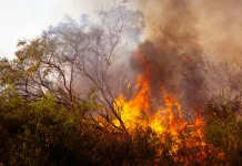 Prefeitura faz alerta sobre impactos do El Niño em Ribeirão Preto