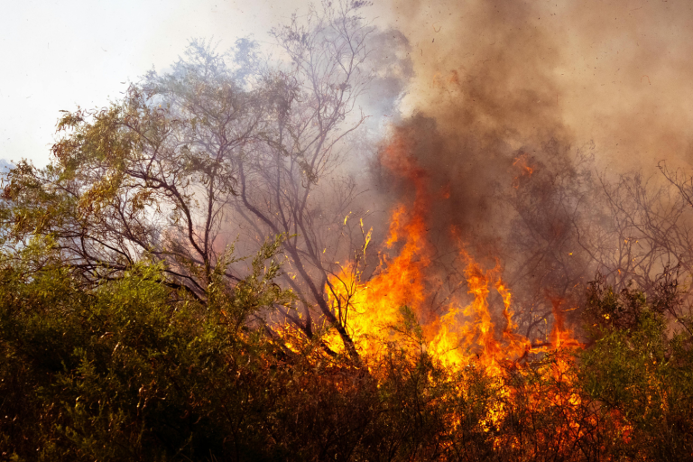 Prefeitura faz alerta sobre impactos do El Niño em Ribeirão Preto
