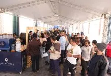 Festival Santos Café acontece até domingo (12) no Centro Histórico; confira a programação