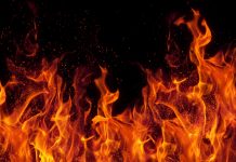 Incêndio destrói casa em João Pessoa, mas família consegue salvar quatro cães de estimação