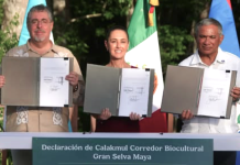 Um acordo trinacional protege 14 milhões de acres em meio às tensões contínuas sobre o controverso projeto do Trem Maia no México.