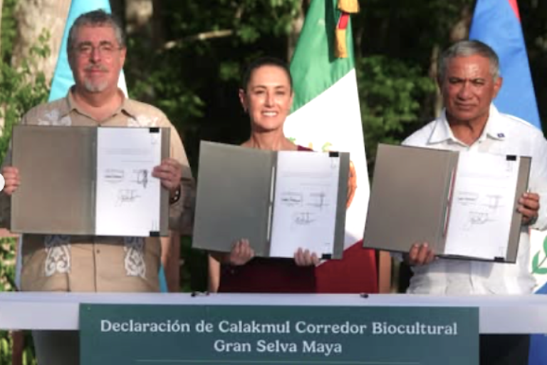 Um acordo trinacional protege 14 milhões de acres em meio às tensões contínuas sobre o controverso projeto do Trem Maia no México.