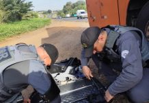 Homem é preso com mais de 5 kg de haxixe marroquino