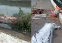 Homem que morreu no Canal 5 de Santos estava em situação de rua e não teve identidade revelada