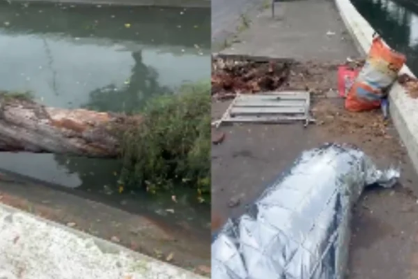 homem morre canal 5 santos