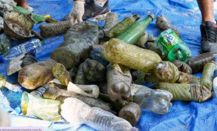 São Sebastião recolhe mais de 2,5 toneladas de lixo em praias e manguezais no primeiro semestre